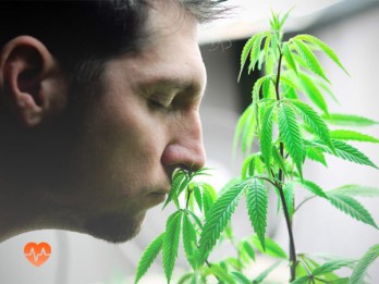 Детоксикация от марихуаны в Акше